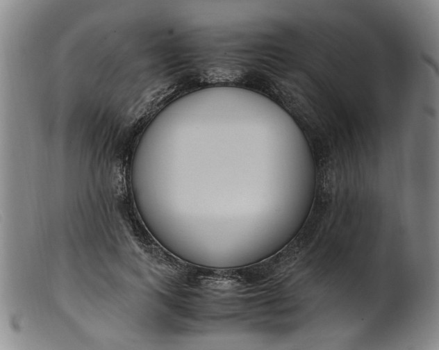 X0000099400743200805221855