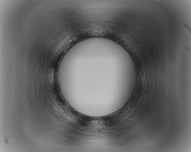 X0000099400744200805221855