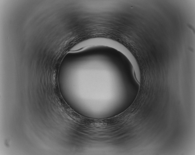 X0000099400745200805221855