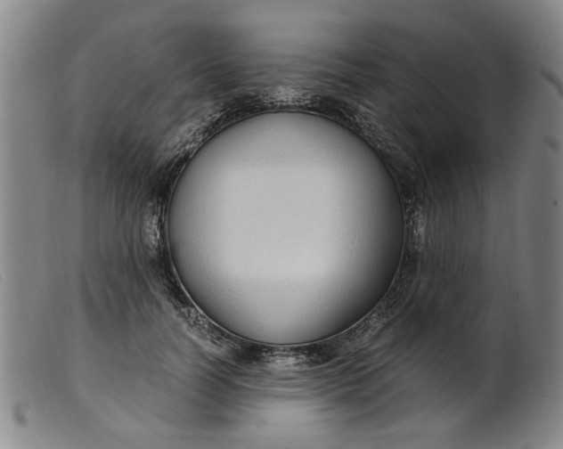 X0000099400746200805221855