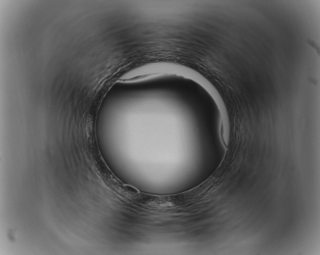 X0000099400747200805221855