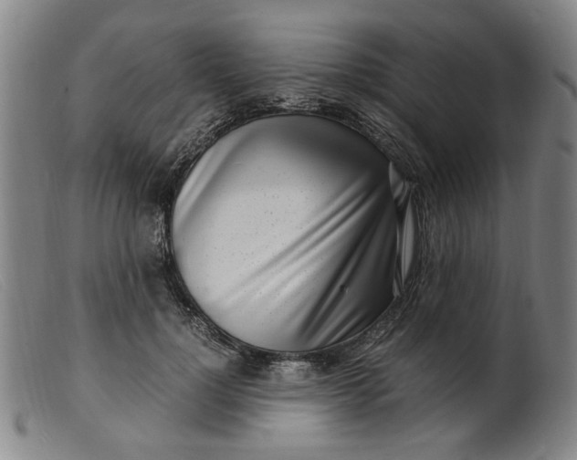 X0000099400748200805221855