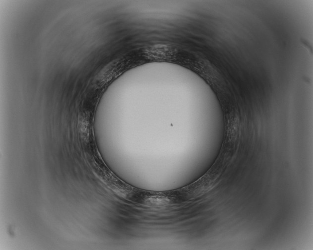 X0000099400749200805221855