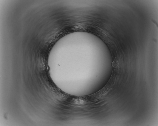 X0000099400751200805221855