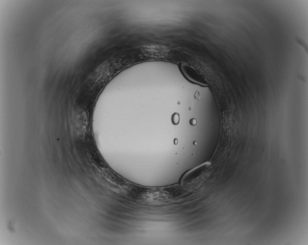 X0000099400752200805221855