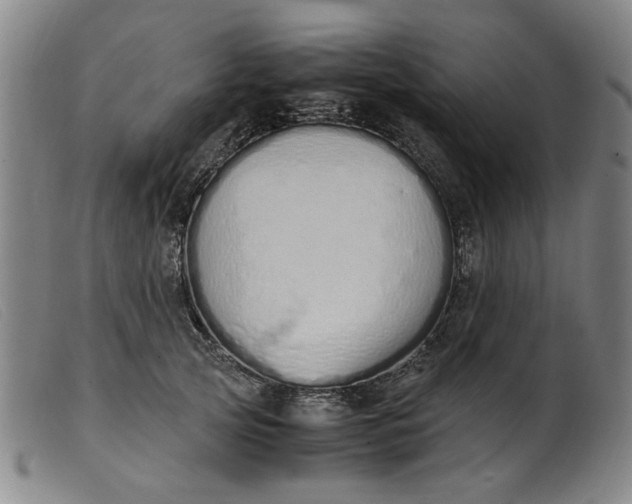 X0000099400753200805221855