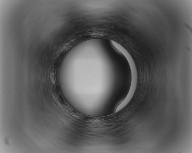 X0000099400755200805221855