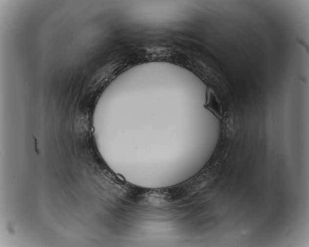 X0000099400756200805221855