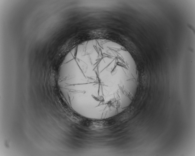 X0000099400757200805221855