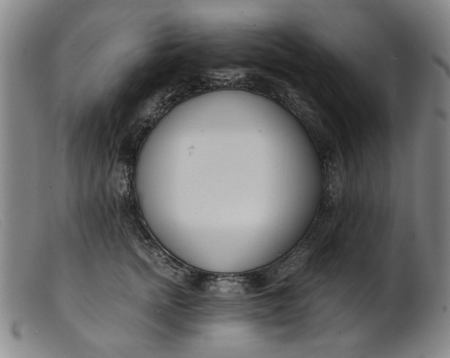 X0000099400758200805221855