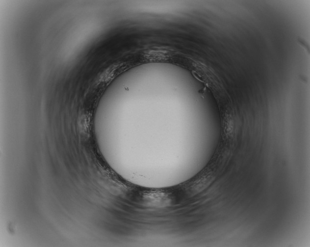 X0000099400759200805221855