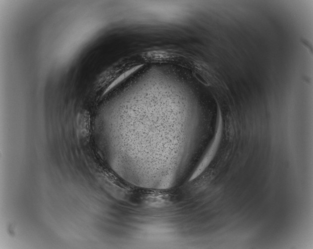 X0000099400760200805221855