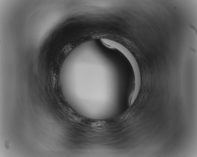 X0000099400761200805221855