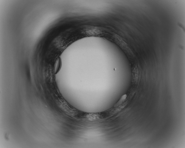 X0000099400762200805221855