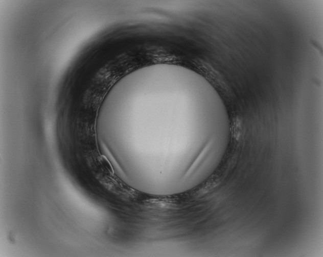 X0000099400763200805221855