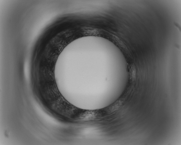 X0000099400764200805221855