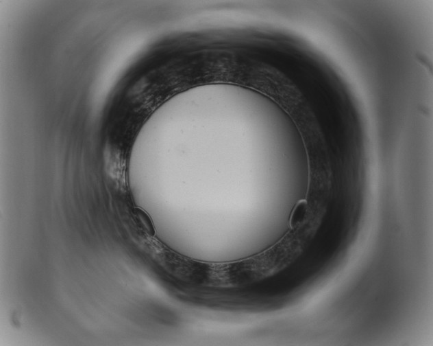 X0000099400766200805221855