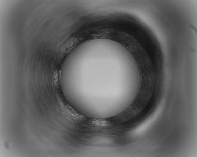 X0000099400767200805221855