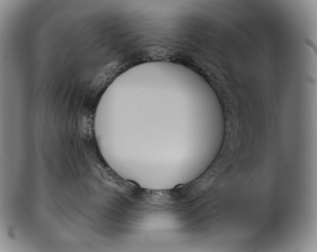 X0000099400768200805221855