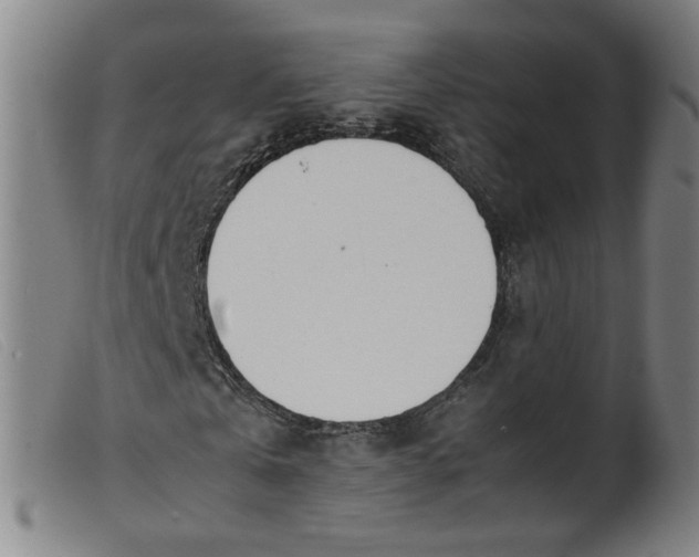 X0000099400769200805221855