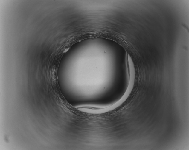 X0000099400770200805221855