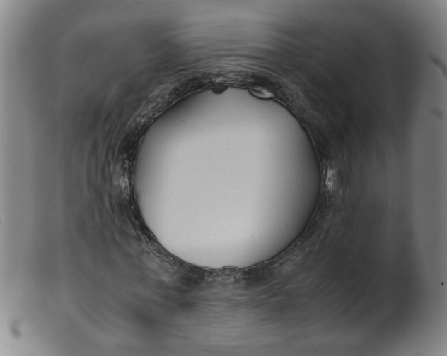 X0000099400771200805221855