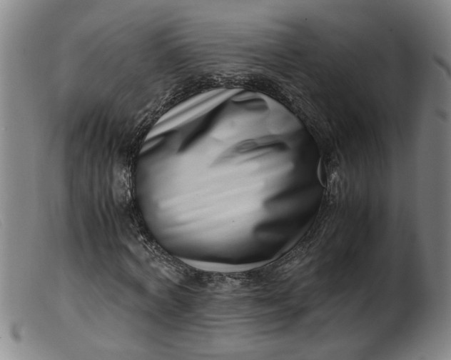 X0000099400772200805221855