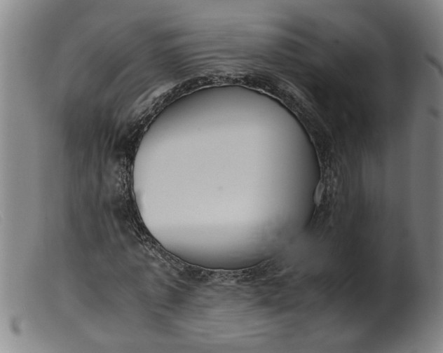 X0000099400773200805221855