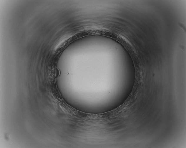 X0000099400775200805221855