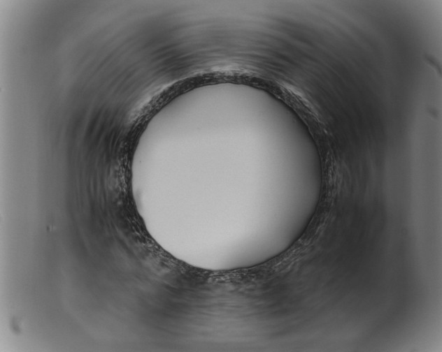 X0000099400776200805221855