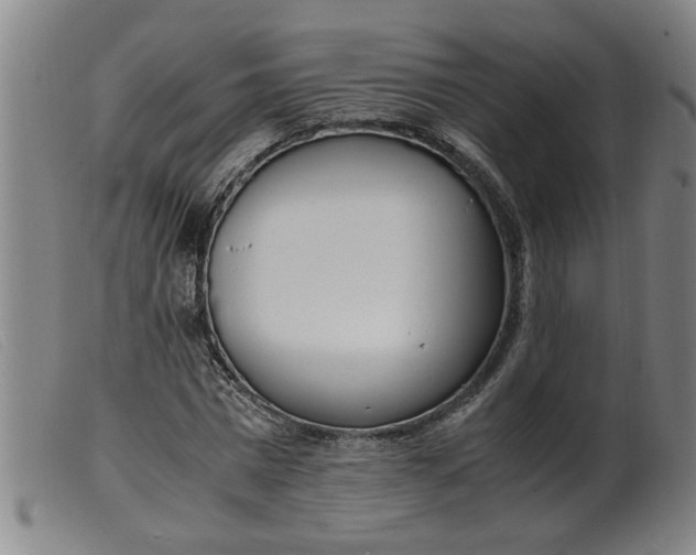 X0000099400777200805221855