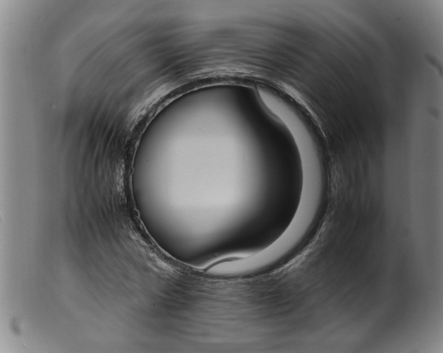 X0000099400778200805221855