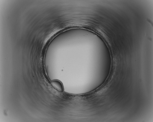 X0000099400779200805221855