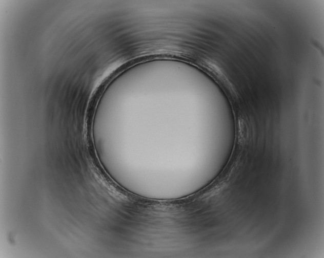 X0000099400780200805221854