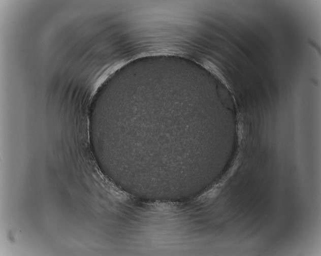 X0000099400781200805221854