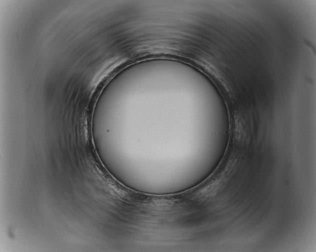 X0000099400782200805221854