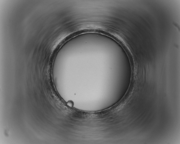 X0000099400783200805221854