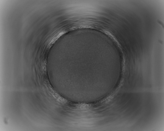 X0000099400785200805221854