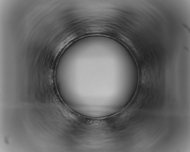 X0000099400786200805221854