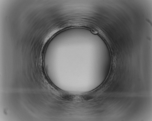 X0000099400787200805221854