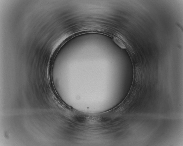 X0000099400788200805221854