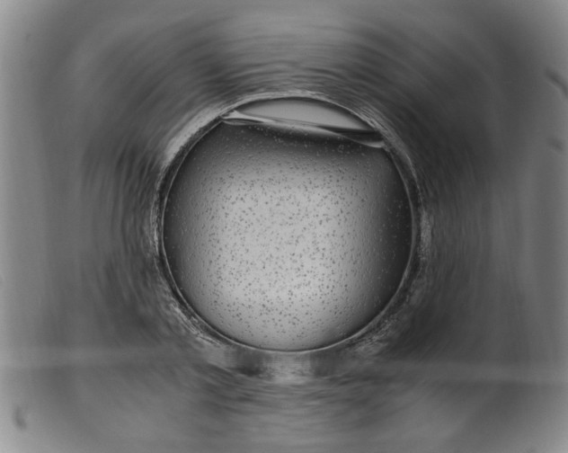 X0000099400789200805221854