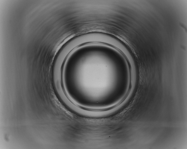 X0000099400790200805221854