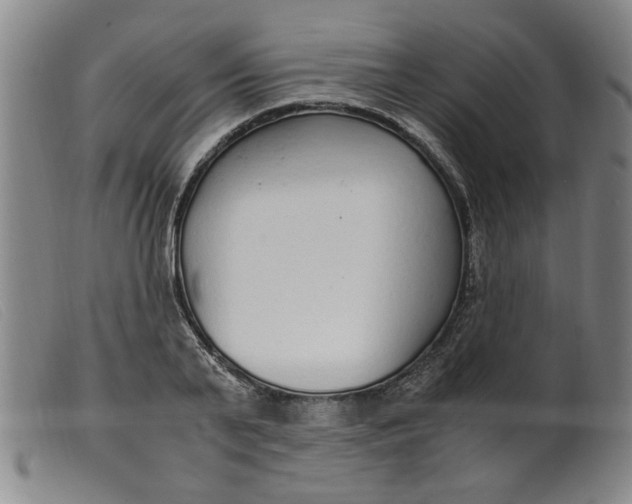 X0000099400791200805221854