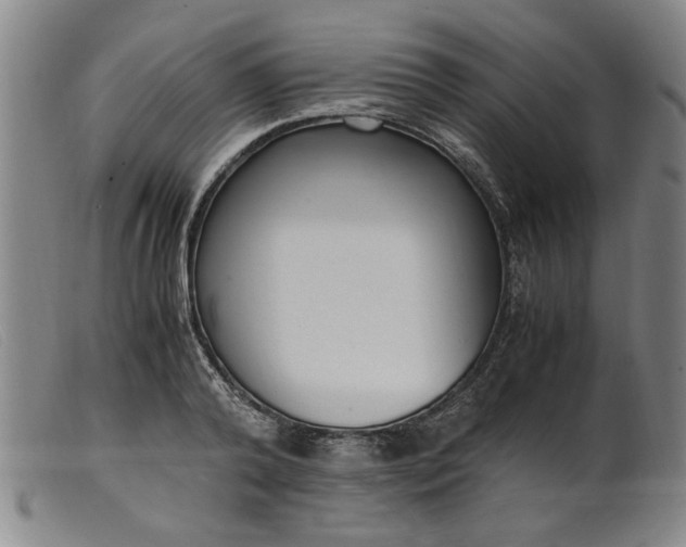 X0000099400792200805221854