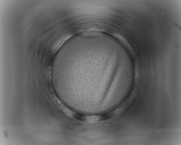 X0000099400793200805221854