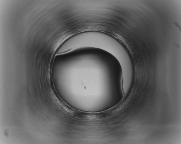 X0000099400794200805221854