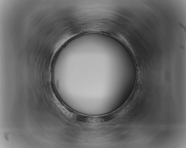 X0000099400795200805221854