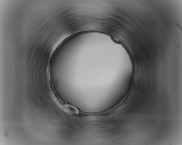 X0000099400796200805221854