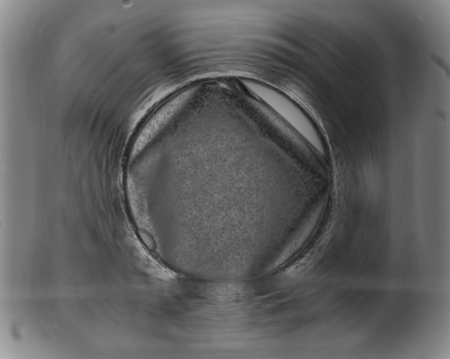 X0000099400797200805221854